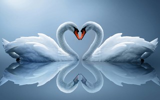 Valentines_Day 82.jpg